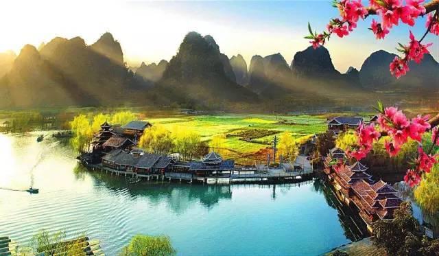 拯救枯树