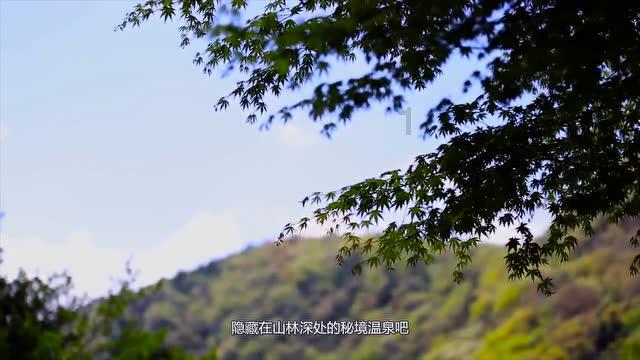 特斯拉新车型曝光:代号