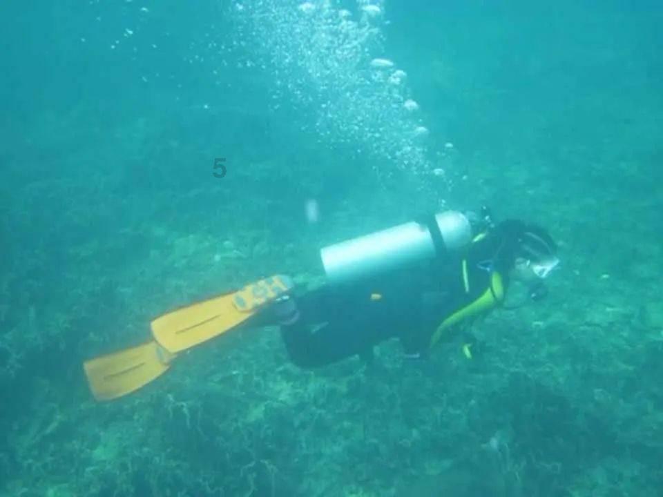 奥特曼黑暗世界