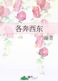 部落冲突：皇室战争