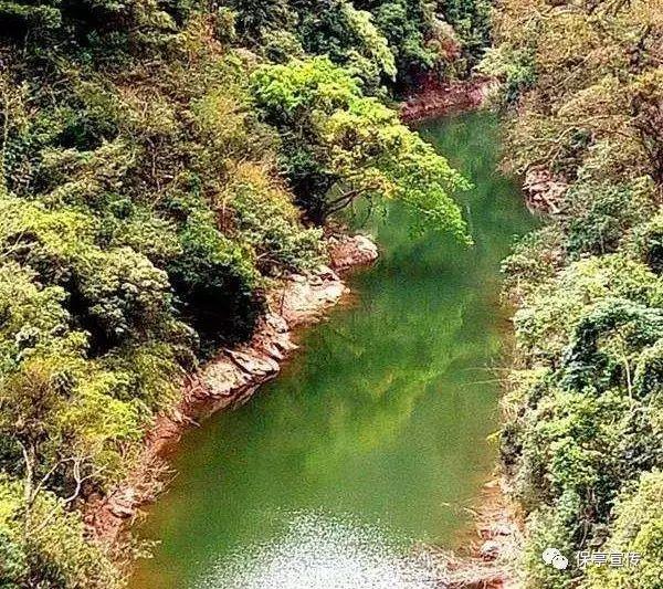 江心园区长江岸线全面完成清理整改