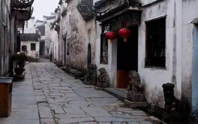 为什么一用盖碗就手抖?新手泡茶的5大状况,有没有你踩过坑的?